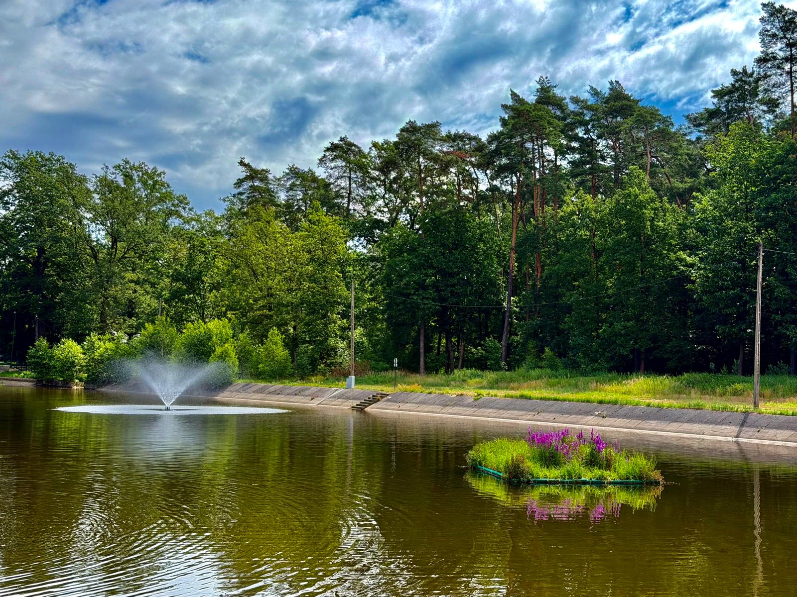 Zdjęcie - Park Grunwaldzki, zagospodarowana przestrzeń dawnego basenu