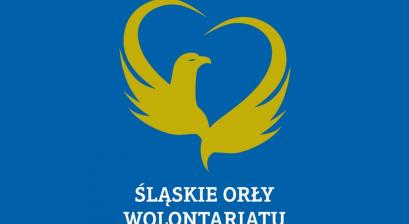 Grafika - Śląskie Orły Wolontariatu, autor Małgorzata Wojtczyk, Urząd Marszałkowski Województwa Śląskiego 