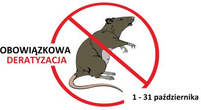 szczur