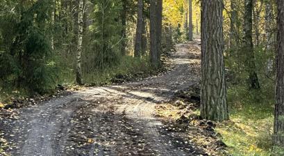 Trasa rowerowa nr 906