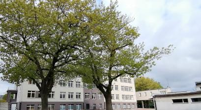 Budynek Szkoły Podstawowej nr 1 
