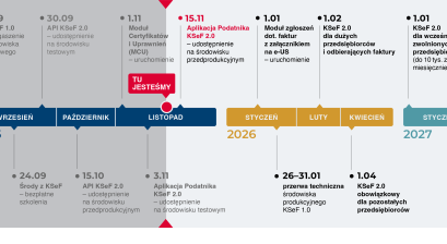 Grafika KSeF, źródło: https://ksef.podatki.gov.pl/