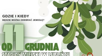 Plakat promujący wydarzenie "Świeta z jemiołą od miasta". W tle grafika jemioły oraz informacje o terminie i miejscu akcji