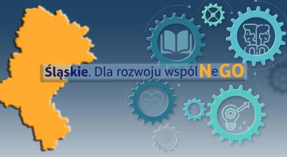 Grafika projektu „Śląskie. Dla rozwoju wspólNeGO”