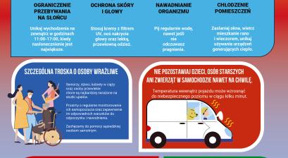 infografika, tekst w opisie 