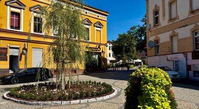 Zdjęcie zagospodarowania rabat na Placu Kopernika