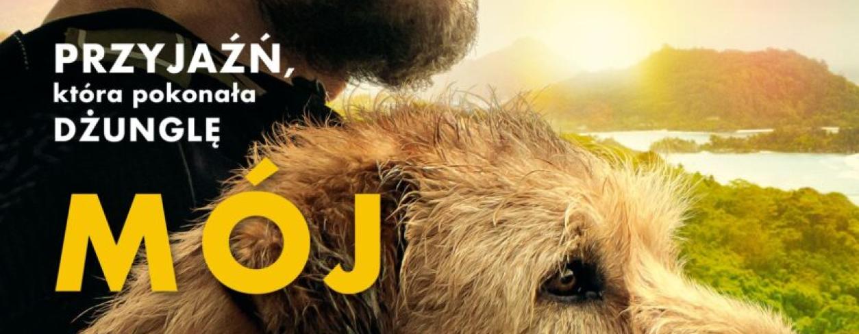 Plakat filmu MÓJ PIES ARTUR. Mężczyzna i pies na wzgórzu wpatrzeni w leśny krajobraz