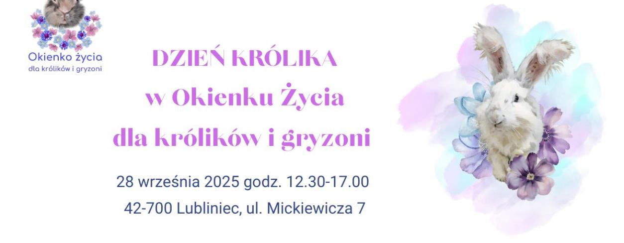 plakat informacyjny teść w opisie wydarzenia