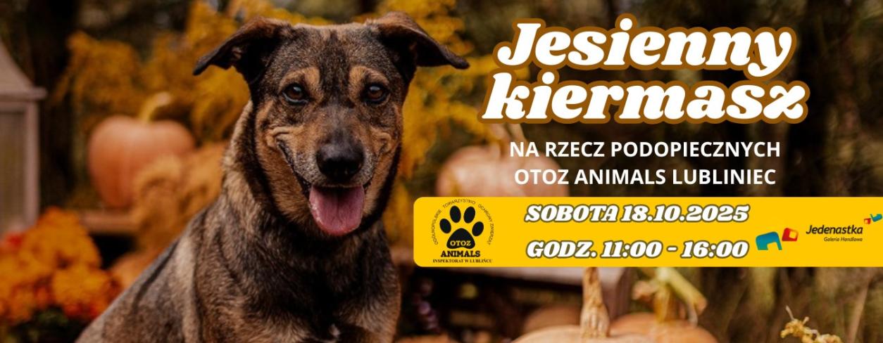 plakat informacyjny teść w opisie wydarzenia