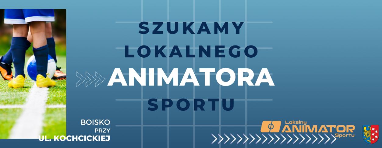 Grafika z napisem Konkurs na Lokalnego Animatora Sportu 