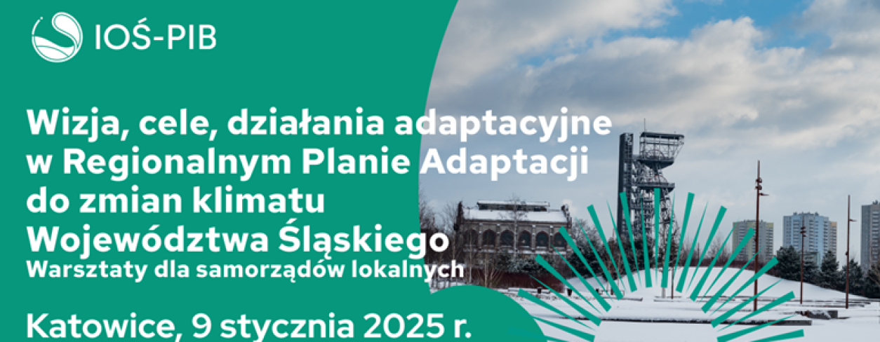 wizje cele działania adaptacyjne w regionalnym planie adaptacji do zmian klimatu