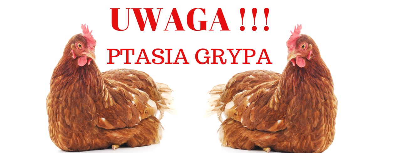Uwaga!!! Ptasia Grypa