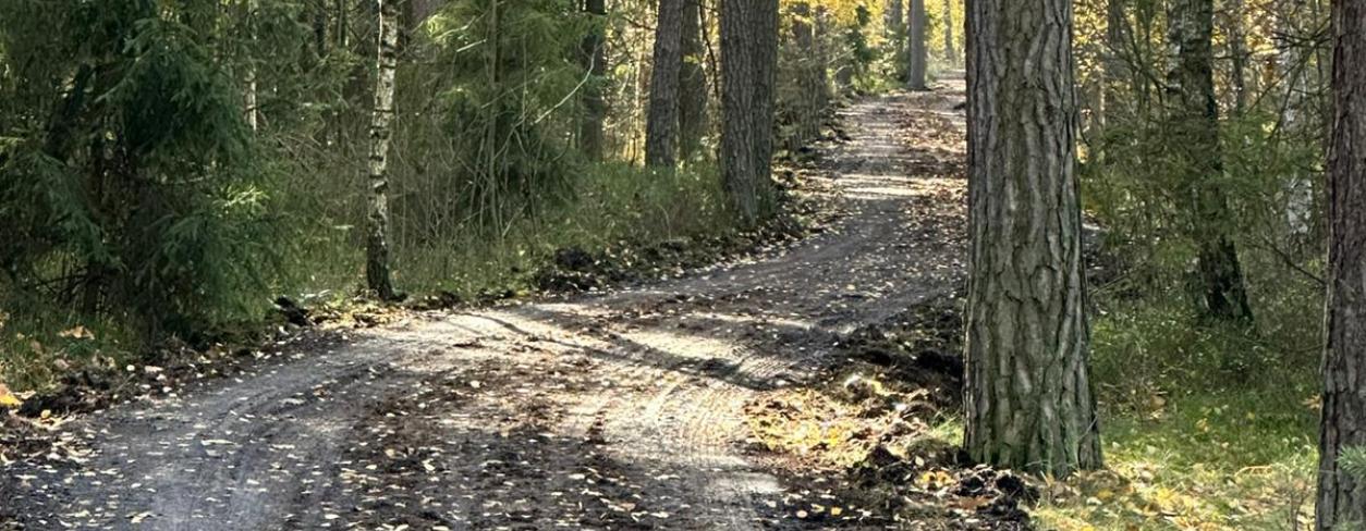 Trasa rowerowa nr 906