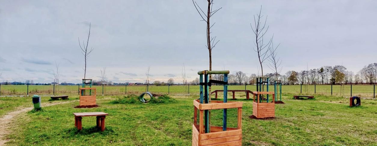Nowe nasadzenia drzew na wybiegu „Psia Baza Zachód” 
