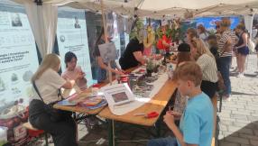 uczestnicy pikniku przy stanowisku "Obrazów z mchu"