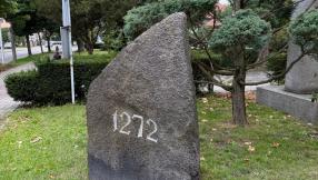 Zdjęcie pomnika przyrody - głazu narzutowego, przy Urzędzie Miejskim