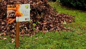 Zdjęcie z tabliczką informacyjno-edukacyjną promującą strefy jeża. W tle jesienny kopiec z liści.