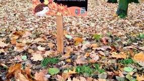 Zdjęcie z tabliczką informacyjno-edukacyjną promującą strefy jeża. W tle jesienny kopiec z liści.