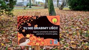 Zdjęcie z tabliczką informacyjno-edukacyjną promującą strefy jeża. W tle jesienny kopiec z liści.