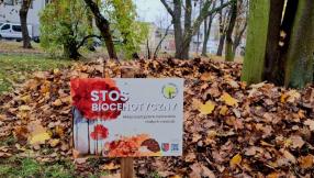 Zdjęcie z tabliczką informacyjno-edukacyjną promującą stosy biocenotyczne. W tle jesienny kopiec z liści.