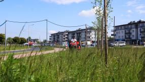 Burmistrz miasta Lublińca koszący trawę przy ul. Wilniewczyca w Lublińcu 