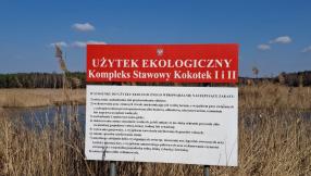 Zdjęcie użytku ekologicznego - KOMPLEKS STAWOWY KOKOTEK I I II