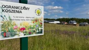 Zdjęcie łaki kwietnej na terenie Lublińca_czerwiec_2026